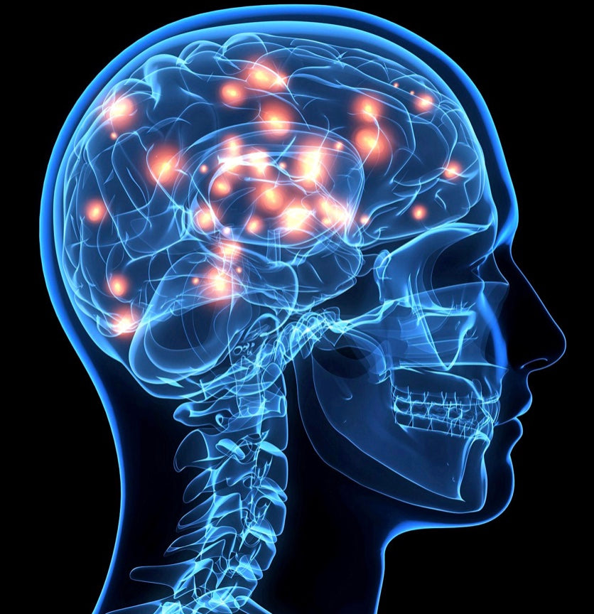 The Extraordinary Brain: Savant Syndrome