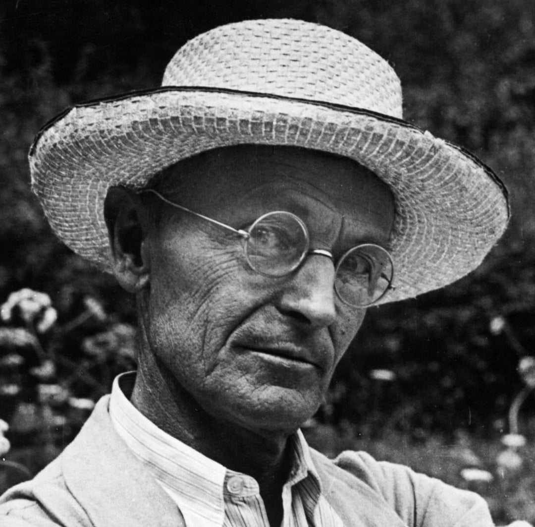 Hermann Hesse - The Search for the Inner Life