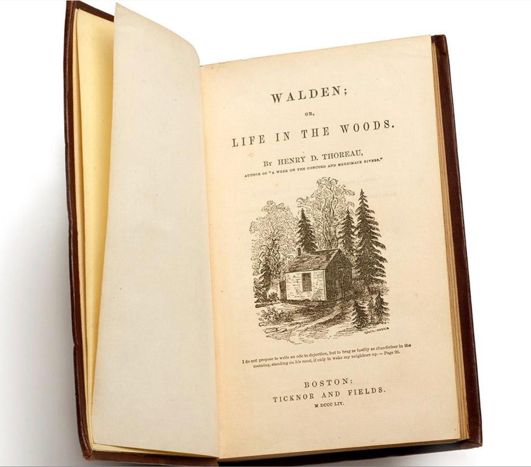 Henry David Thoreau’s Walden: The Art of Living Deliberately
